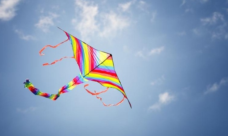 Bikaniri Kites